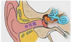 外耳道炎症状有哪些