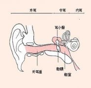 重庆耳鼻喉科好的医院_外耳道炎该怎么处理呢？