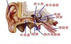 重庆耳鼻喉科医院_外耳道炎在饮食方面该注意什么？