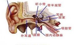 重庆耳鼻喉医院哪家好_外耳道炎该怎么预防呢？