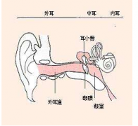 外耳道炎的危害有哪些？