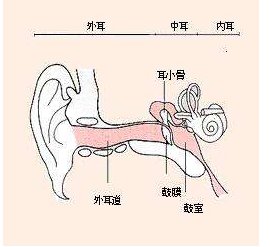 外耳道炎的危害有哪些