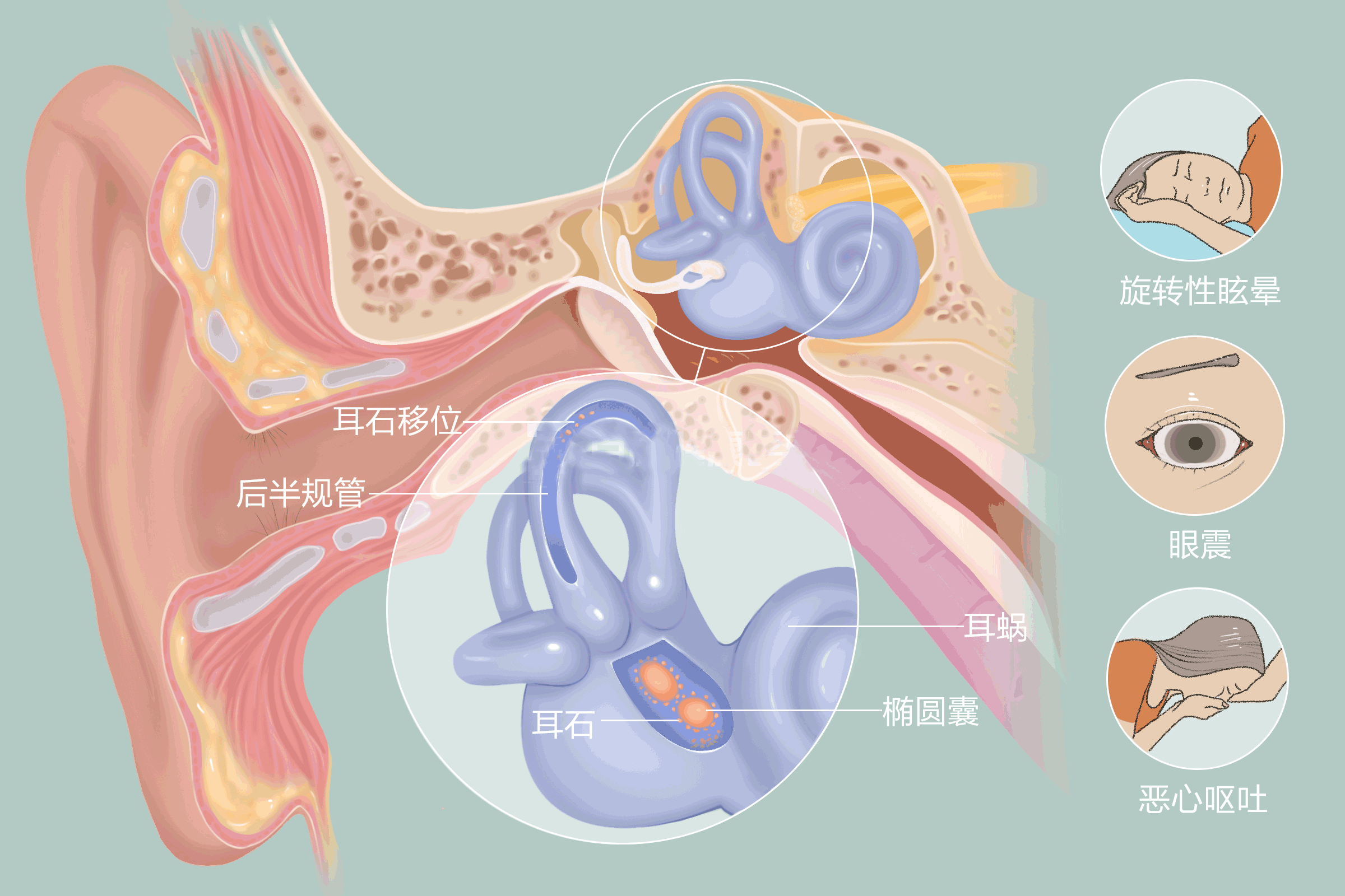 重庆耳鼻喉科医院